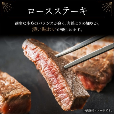 宮崎牛ロースステーキ 計500g(新富町)