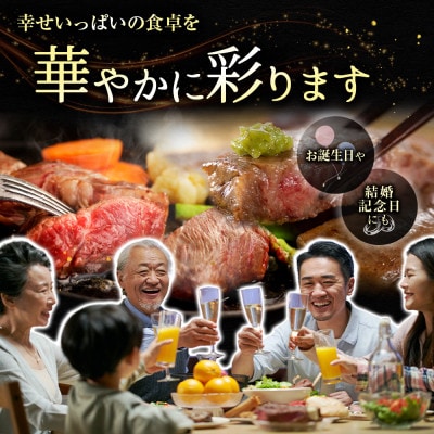 宮崎牛ロースステーキ 計500g(新富町)
