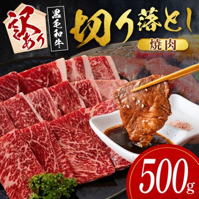 【数量限定・訳あり】宮崎県産黒毛和牛切り落とし焼肉　計500g(新富町)