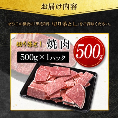 【数量限定・訳あり】宮崎県産黒毛和牛切り落とし焼肉　計500g(新富町)