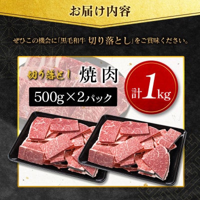 【数量限定・訳あり】宮崎県産黒毛和牛切り落とし焼肉　計1kg(新富町)