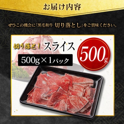 【数量限定・訳あり】宮崎県産黒毛和牛切り落としスライス　計500g(新富町)