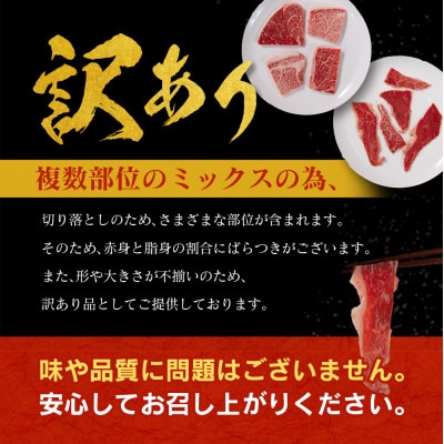 【数量限定・訳あり】宮崎県産黒毛和牛切り落としスライス　計2kg(新富町)
