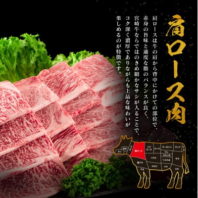 宮崎牛肩ロース焼肉 800g(新富町)