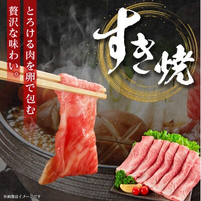宮崎牛肩ローススライス 800g(新富町)
