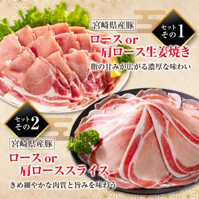 宮崎県産豚肉 バラエティセット 計3.5kg(新富町)