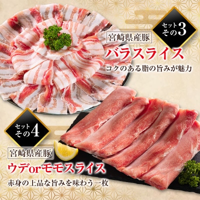 宮崎県産豚肉 バラエティセット 計3.5kg(新富町)