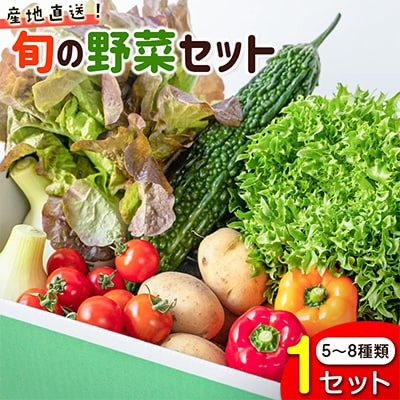 産地直送!旬の野菜セット お試し1回お届け おまかせ詰合せ