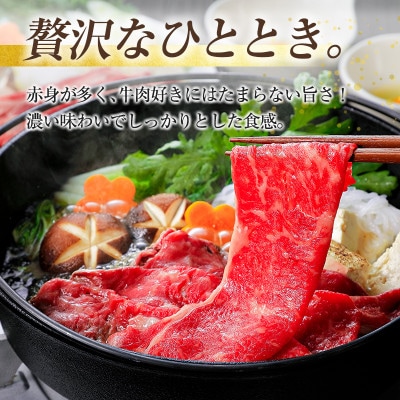 《宮崎牛》肩(ウデ)すき焼き用　計1kg(新富町)