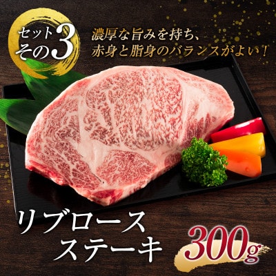 《宮崎牛》ヒレ・サーロイン・リブロース『ステーキBIG3』合計650g(新富町)