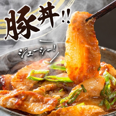 宮崎県産 豚ローススライス肉(300g×6パック)合計1.8kg(新富町)