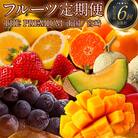 【発送月固定定期便】南国宮崎　旬の至高フルーツ 奇数月コース全6回