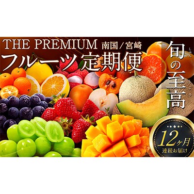【発送月固定定期便】南国宮崎　旬の至高フルーツ 全12回