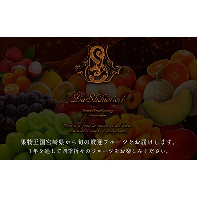 【発送月固定定期便】南国宮崎　旬の至高フルーツ 全12回