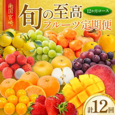【発送月固定定期便】南国宮崎 旬の【至高】フルーツ定期便　12か月コース【G25】全12回