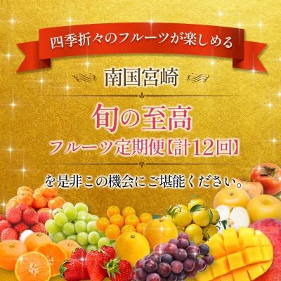 【発送月固定定期便】南国宮崎 旬の【至高】フルーツ定期便　12か月コース【G25】全12回