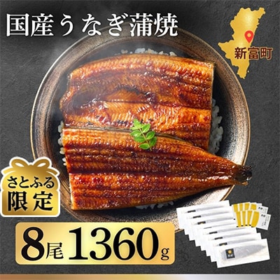 【さとふる限定】宮崎県新富町産うなぎ蒲焼8尾(計1360g以上)