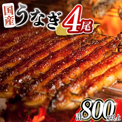 【期間限定】【数量限定】人気の国産うなぎ蒲焼 4尾 計約800g