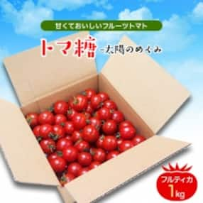 食べ出したら止まらない・おいしい～甘～いフルーツトマト「トマ糖-太陽のめぐみ」1kg