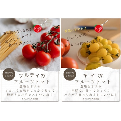 食べ出したら止まらない・おいしい甘いフルーツトマト「トマ糖」1kg(フルティカ、ティポ各500g)