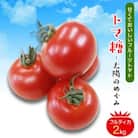 食べ出したら止まらない・おいしい～甘～いフルーツトマト「トマ糖‐太陽のめぐみ」フルティカ2kg