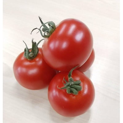 食べ出したら止まらない・甘くて美味しいフルーツトマト「トマ糖-太陽のめぐみ」フルティカ 3kg