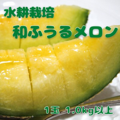 《2022年7月順次発送》【南アルプス市産】水耕栽培 和ふうるメロン1玉 1.0kg以上 箱入り