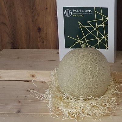 《2022年7月順次発送》【南アルプス市産】水耕栽培 和ふうるメロン1玉 1.0kg以上 箱入り