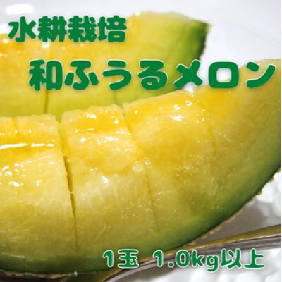 《2022年7月順次発送》【南アルプス市産】水耕栽培 和ふうるメロン2玉×1.0kg以上 箱入り