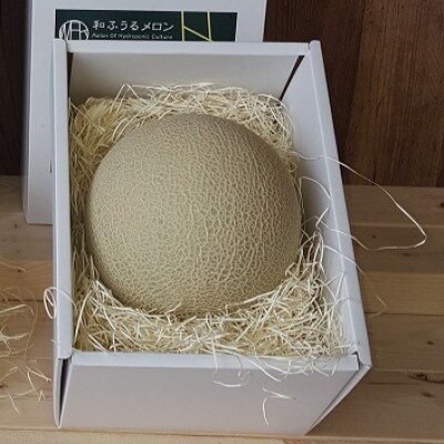 《2022年7月順次発送》【南アルプス市産】水耕栽培 和ふうるメロン2玉×1.0kg以上 箱入り