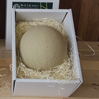 《2022年7月順次発送》【南アルプス市産】水耕栽培 和ふうるメロン4玉×1.0kg以上 箱入り