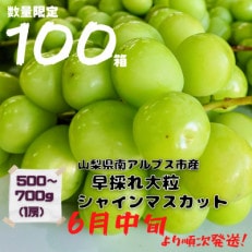 【先着100箱】南アルプス市 早採れシャインマスカット 大粒1房 500～700g