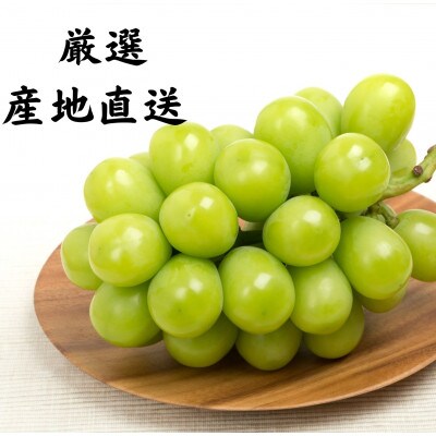 【先着100箱】南アルプス市 早採れシャインマスカット 大粒1房 500～700g