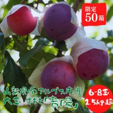 《2022年7月発送》【先着50箱】【南アルプス市産】大玉すもも「貴陽」6～8玉 1.5kg以上