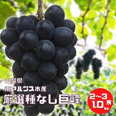 《2023年8月下旬より順次発送》【南アルプス市】厳選種なし巨峰 大粒2房〜3房 1.0kg以上