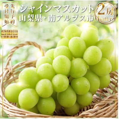 【2025年発送】 山梨県南アルプス産 もぎたて シャインマスカット 2房(1kg以上)