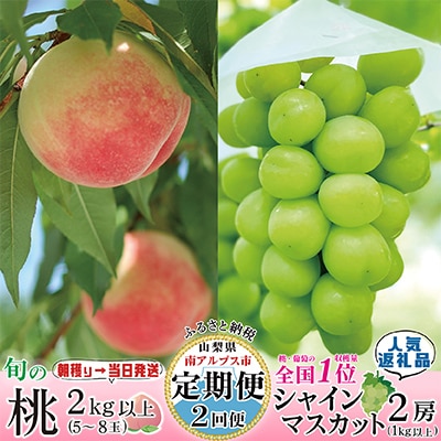 【発送月固定定期便】【山梨県産 定期便2回送り】南アルプスの果物セット 全2回