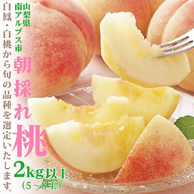 【発送月固定定期便】【山梨県産 定期便2回送り】南アルプスの果物セット 全2回