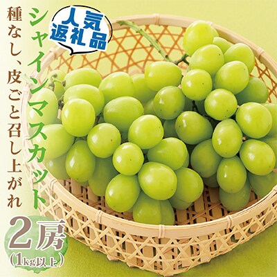 【発送月固定定期便】【山梨県産 定期便2回送り】南アルプスの果物セット 全2回