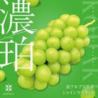 濃珀～KOHAKU～　南アルプスの高級シャインマスカット　3房から5房　約1.8kg