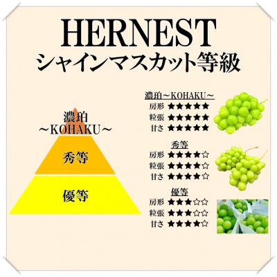 山梨県南アルプス市産　旬の採れたてシャインマスカット　秀等品　約1.8kg　3～5房