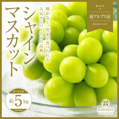 山梨県南アルプス市産シャインマスカット　秀等品　約5kg　8～11房