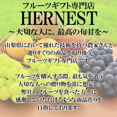 山梨県南アルプス市産　グリーンキウイ　約10kg