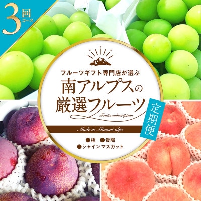【発送月固定定期便】フルーツギフト専門店が選ぶ南アルプスの厳選フルーツ定期便　全3品種全3回