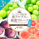 【発送月固定定期便】フルーツギフト専門店が選ぶ南アルプスの厳選フルーツ定期便　全3品種全3回