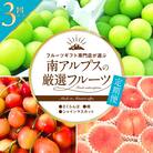 【発送月固定定期便】フルーツギフト専門店が選ぶ南アルプスの厳選フルーツ定期便　全3品種S全3回