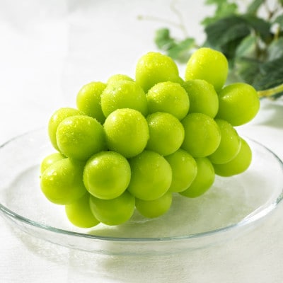 【発送月固定定期便】フルーツギフト専門店が選ぶ南アルプスの厳選フルーツ定期便全3回