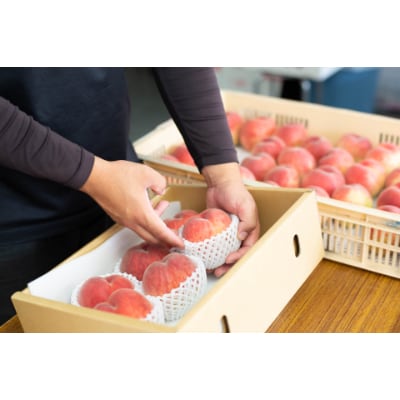 山梨県産朝採り桃!(6～9玉入り・2kg以上)