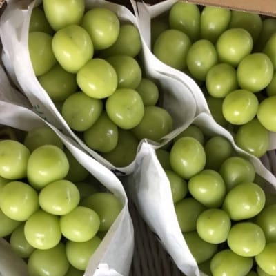 厳選シャインマスカット3～4房(1.8kg～2kg)