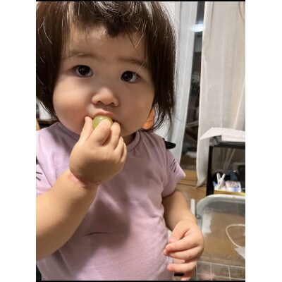 厳選シャインマスカット3～4房(1.8kg～2kg)